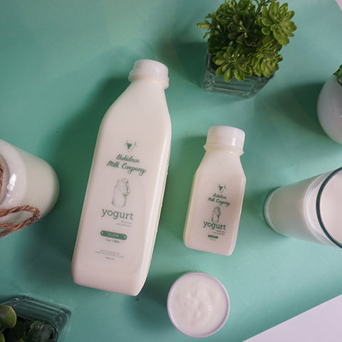 Bukidnon Milk Company Plain Yogurt 240ml