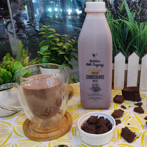 Bukidnon Milk Company Premium Chocolate Milk 240ml