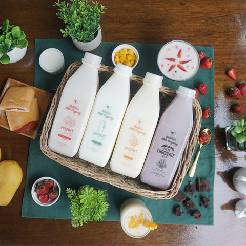Bukidnon Milk Company Premium Chocolate Milk 240ml