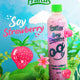 Fruitas Strawberry Soy Coolers