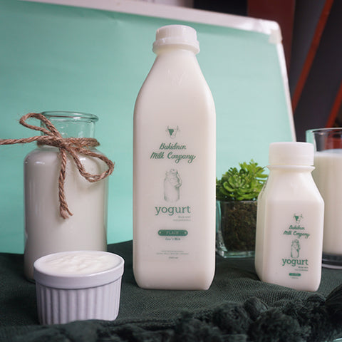 Bukidnon Milk Company Plain Yogurt 240ml