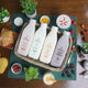 Bukidnon Milk Company Premium Chocolate Milk 240ml